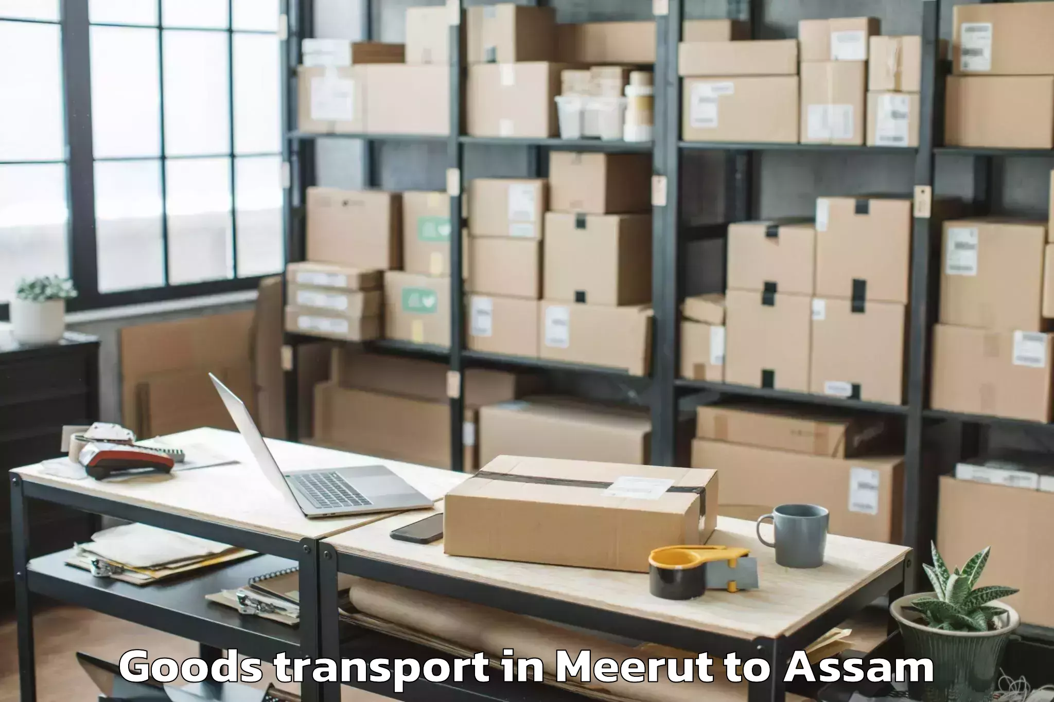 Affordable Meerut to Srimanta Sankaradeva Universit Goods Transport